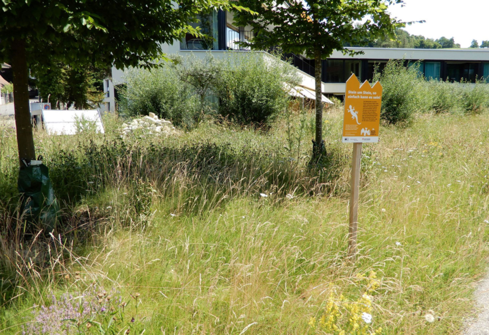 NFS_Brunnenhof_Seniorenzentrum.JPG